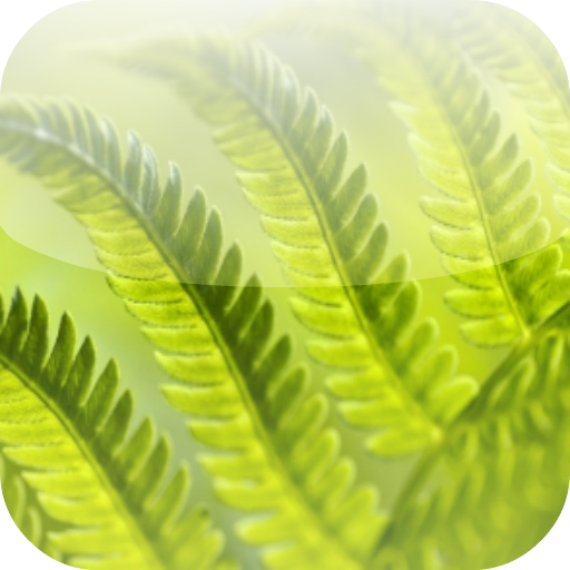 Sleep With Nature 音樂 App LOGO-APP開箱王