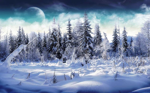 Winter Wallpaper