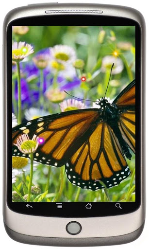 Butterfly Style live wallpaper