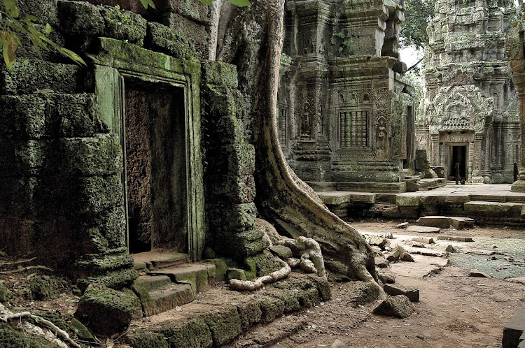 Ta Prohm Temple, shrouded in dense jungle, has been left untouched by archaeologists except for the clearing of a path for visitors and some structural strengthening. See the landmark, built around 1186 A.D., during a G Adventures expedition of Cambodia.