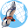 African Raptor Observations Download on Windows