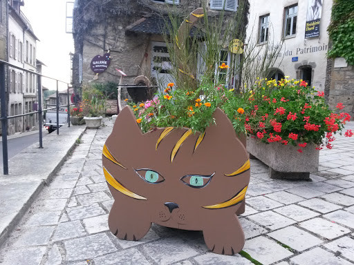 Le Chat Pot De Fleur - Saint-chef