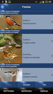 Bird Id - British Birds(圖3)-速報App