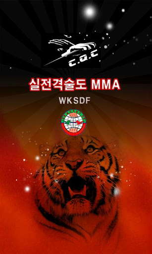 실전격술도 MMA