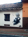 Mural Ninja   