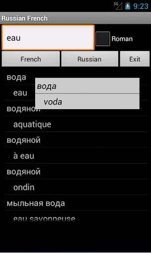 French Russian Dictionary
