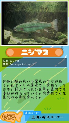がんばれ！ムートくん【さいたま水族館公式アプリ】のおすすめ画像5
