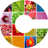 CryptoPhoto18.10.03