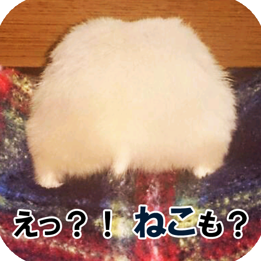 ハムねこまとめんじゃー LOGO-APP點子