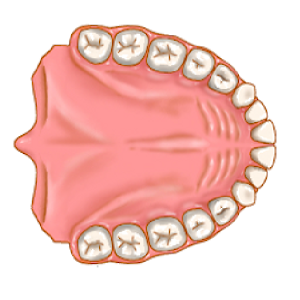 Dentist Pro Premium logo