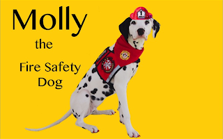 Molly the Fire Safety Dog APK ภาพหน้าจอ #6