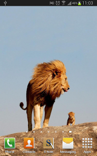 Amazing Lions Wallpapers(圖4)-速報App