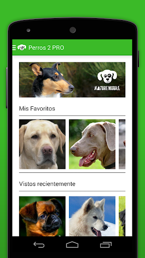 QLSRQhWYo7m5xOMHRawXw24orS5n8GCuVazNEijF