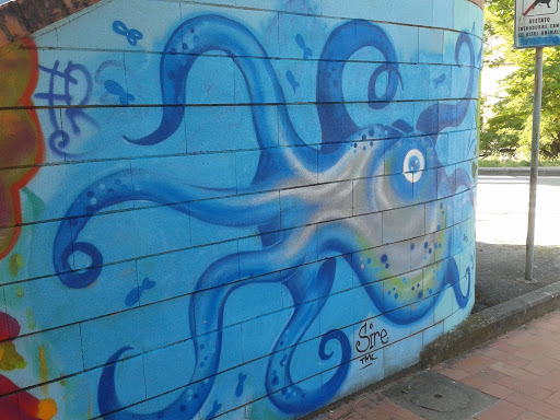 Octopus Graffiti