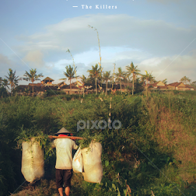 I saw a star, I reached for it. I missed, so I accepted the sky by Sesar Arief - Typography Captioned Photos
