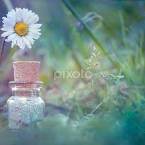 Bottle★Magic  by Viktorija Golubić - Artistic Objects Other Objects