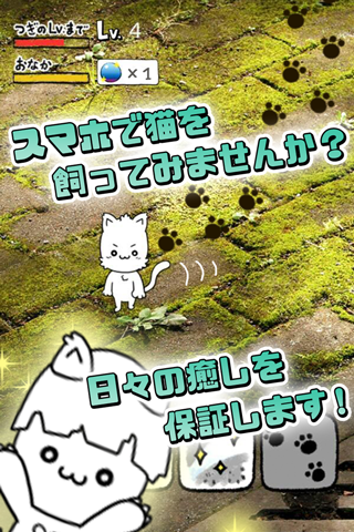 【免費模擬App】にゃんこ日和〜ほのぼの子猫育成ゲーム〜-APP點子