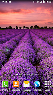 Flower Live Wallpaper(圖5)-速報App
