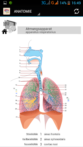 【免費醫療App】Anatomie-MedRett-APP點子