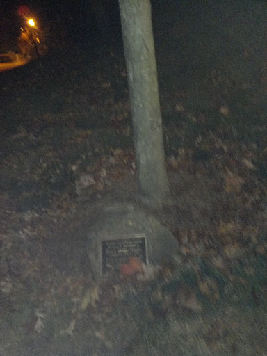Choppa Memorial Tree