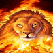 Fire Lion Live Wallpaper
