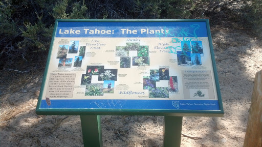 Lake Tahoe the Plants