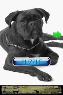How to download Dog Puzzle: Boxer 3.0.1.0 unlimited apk for bluestacks