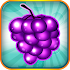 Fruit Blitz Free1.1.20