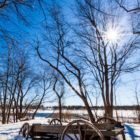 Hope for spring by Éric Senterre - City,  Street & Park Historic Districts