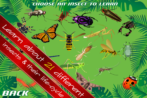 【免費街機App】Insect Slice And Learn-APP點子