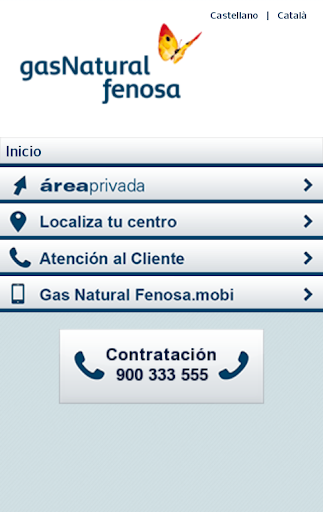 Gas Natural Fenosa - Oficina V