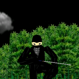 3D Ninja Game for PC and MAC