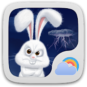 Mr Rabbit GO Weather Theme  Icon
