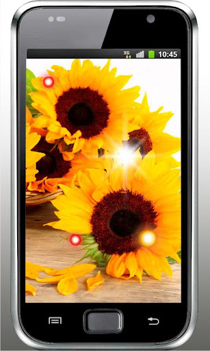 Sunflower Summer livewallpaper