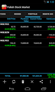 Polish Stock Market - náhled