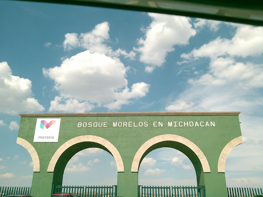 Bosque Morelos 