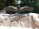 Tribal Condor Art - SD Safari Park