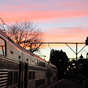 Travelling into the sunset by Nick Schroeder - Transportation Trains