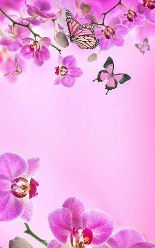 粉红色花卉动态壁纸