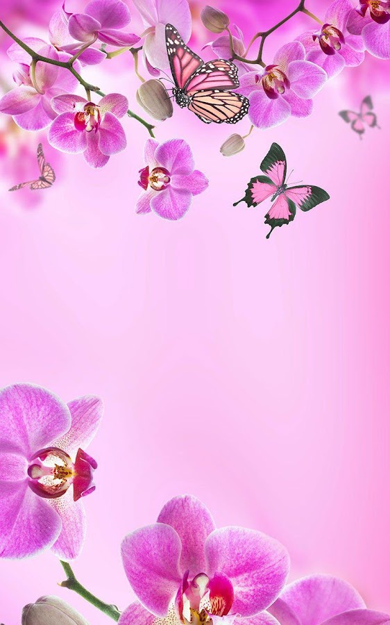 Pink Flowers Live Wallpaper Android Apps on Google Play