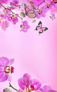 Pink Flowers Live Wallpaper(圖1)-速報App
