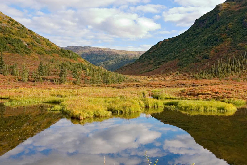 Meadows and mountains reflect in a pristine lake in Denali National Park, Alaska.