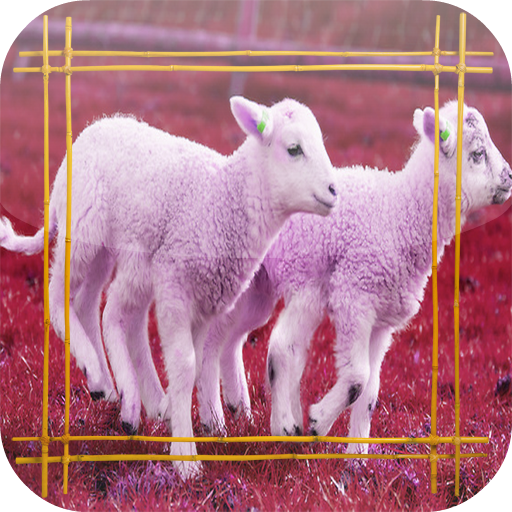 Sheep Jigsaw Puzzles 解謎 App LOGO-APP開箱王