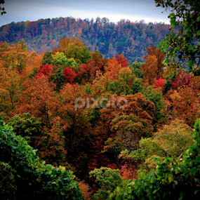 by Paul Mays - Uncategorized All Uncategorized