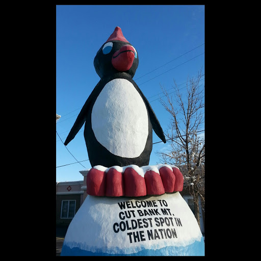 Mighty Penguin of Cut Bank