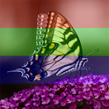 Photo Effects icon