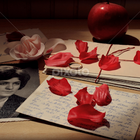 Nostalgia by Katarina Jonjic - Artistic Objects Still Life