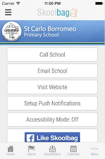 St Carlo Borromeo PS