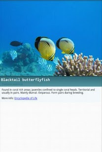 Free Download Red Sea Explorer APK