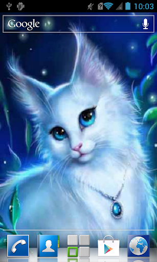 Lovely white kitty Live WP